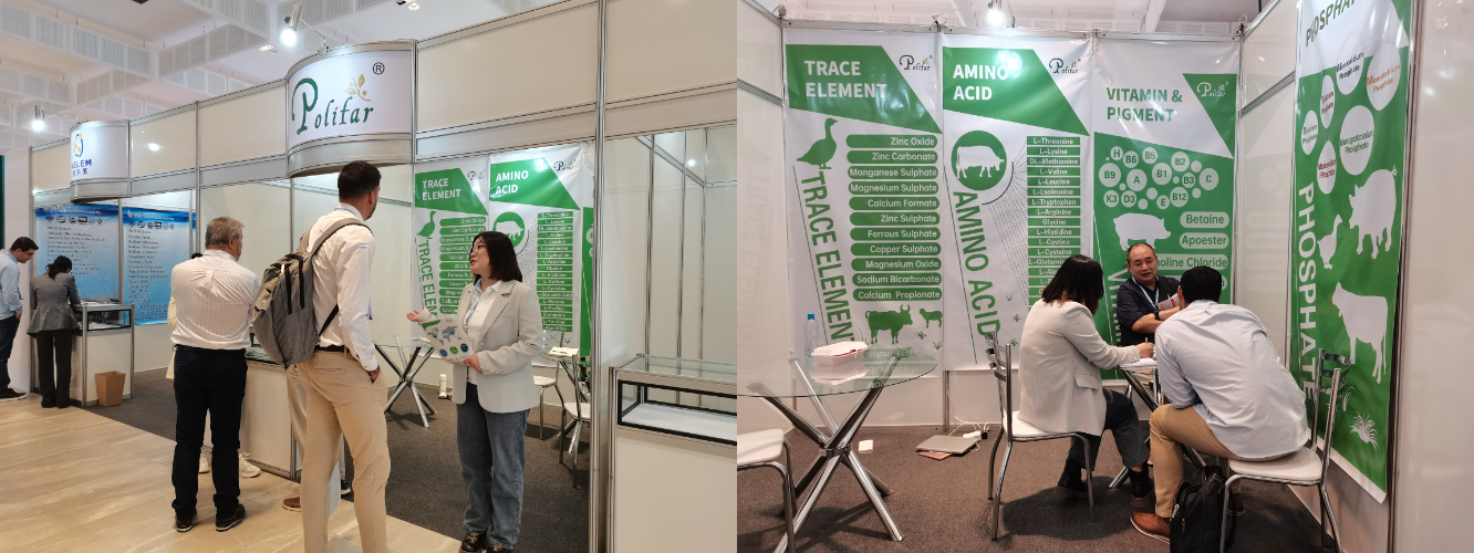 Feed Additives Exhibition - Brazil AVESUL Fiera degli additivi per mangimi - Brasile AVESUL