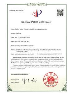  Certificato di brevetto pratico 