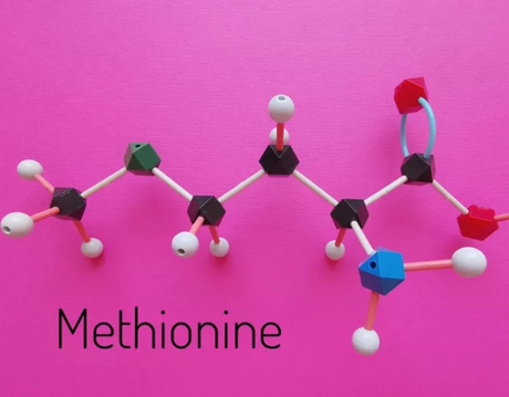 methionine.jpg