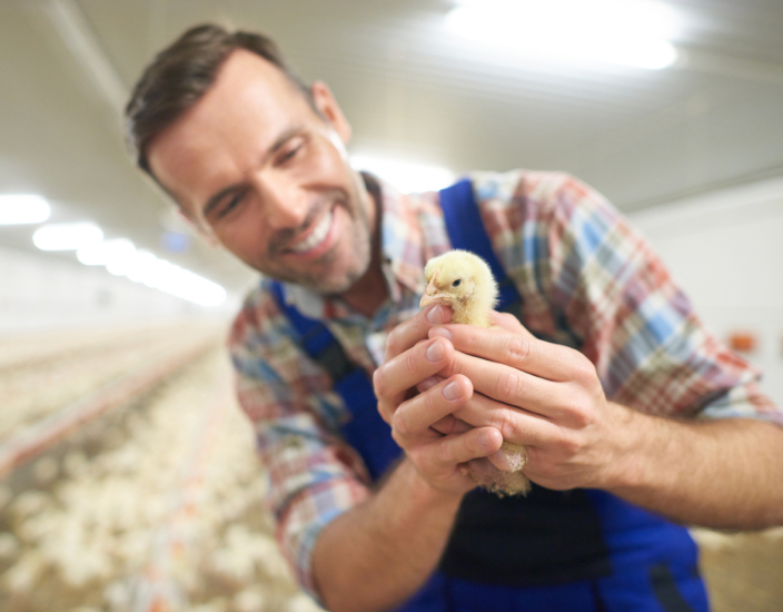 Pericoli nascosti nella mancanza di fosfato