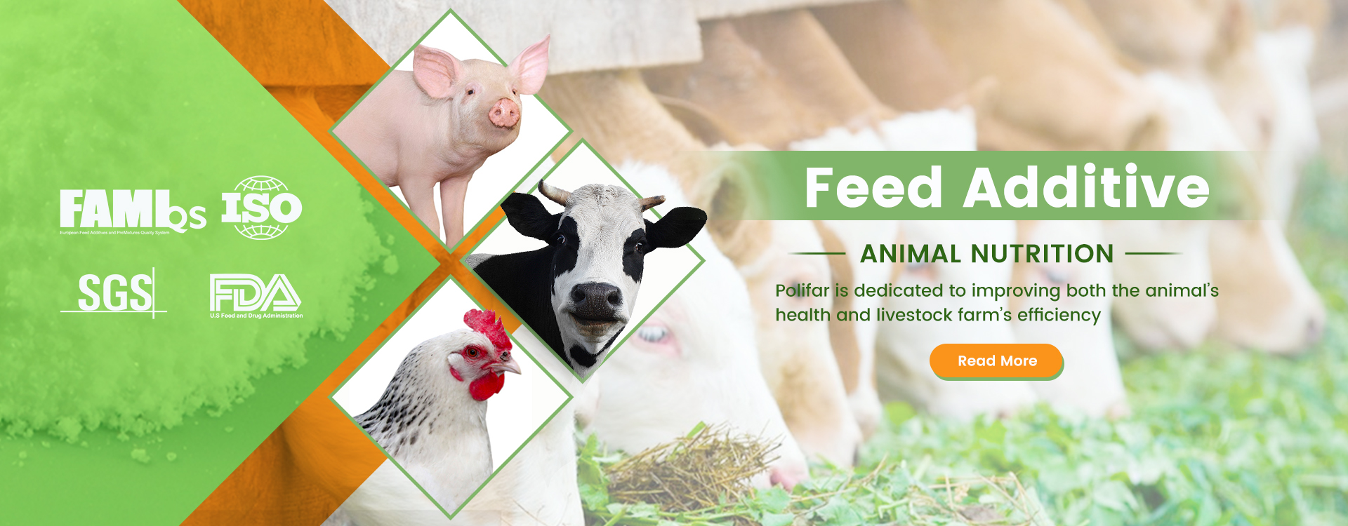 feed additive